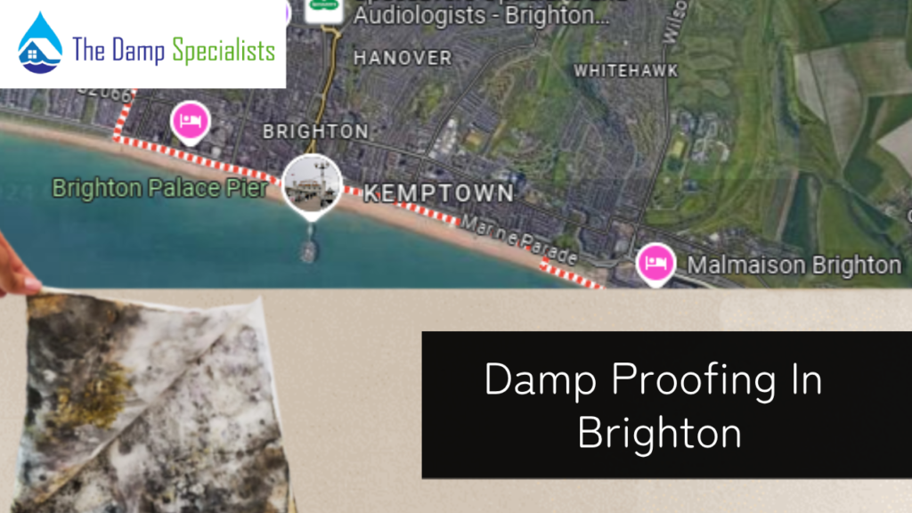 brighton damp proofing