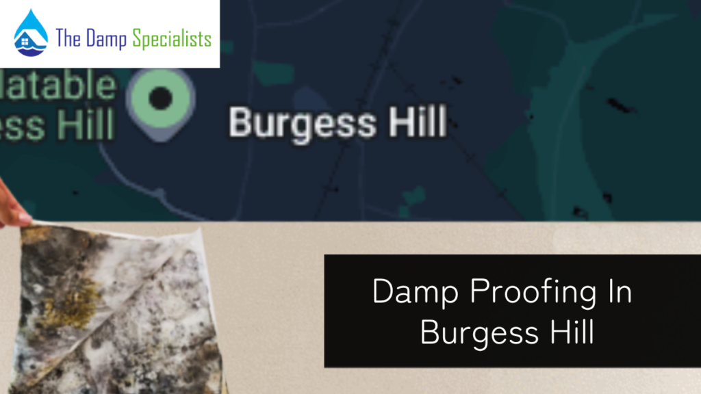 burgess hill damp proofing