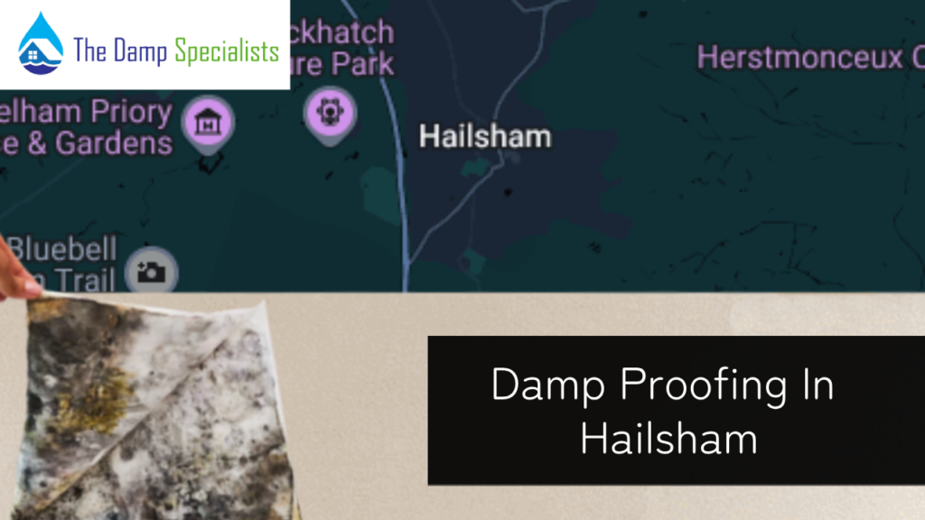 hailsham damp proofing