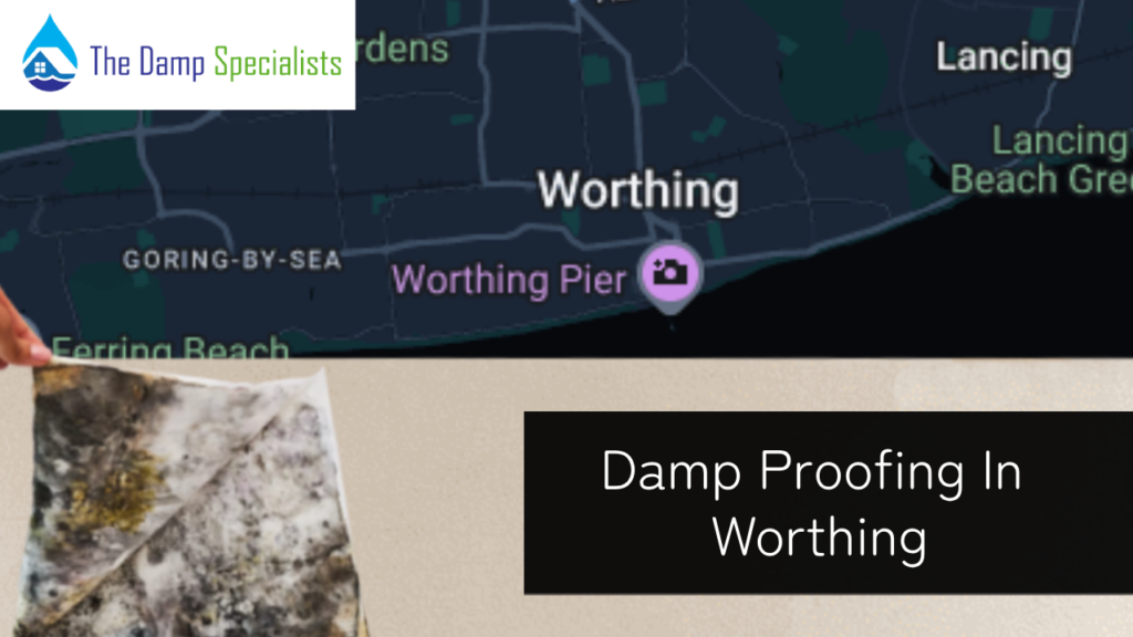 worthing damp proofing