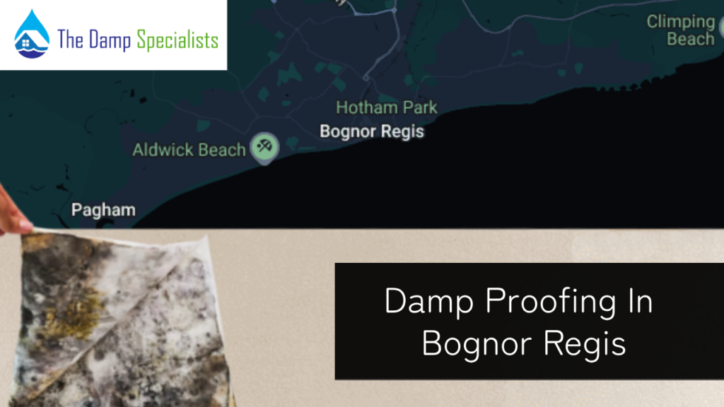 bognor regis damp proofing