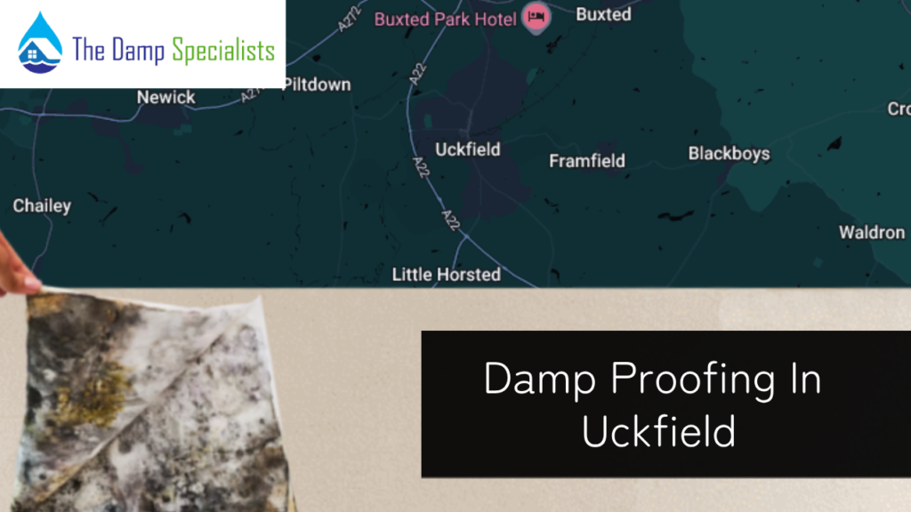 damp proofing in uckfield
